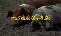 无敌流浪汉手机版
