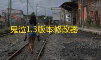 鬼泣1.3版本修改器