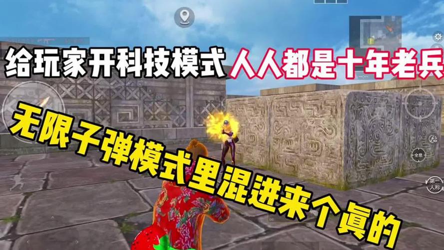 云南蘑菇是什么梗